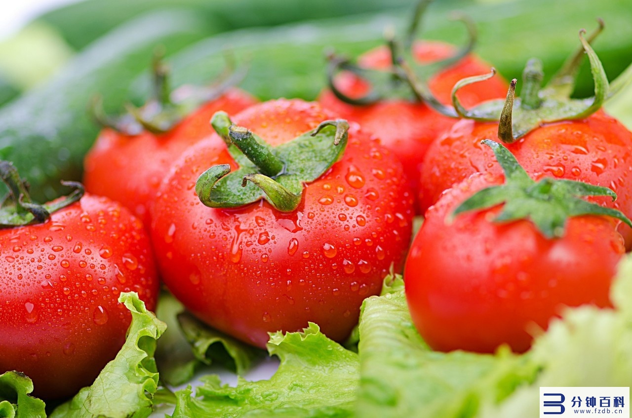 随时随地啃着吃，一天吃20斤不会胖的减肥圣品：西红柿